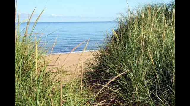 Video thumbnail for Am Ceilidh Trail in Nova Scotia