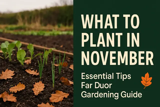 'Video thumbnail for What to Plant in November | Essential Fall Gardening Guide – Episode 105'