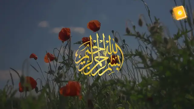 Video thumbnail for Surah tul Qadr Recitation