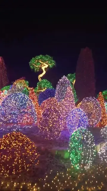 Video thumbnail for Light Festival 2026 in Garden of Morning Calm is coming soon this winter