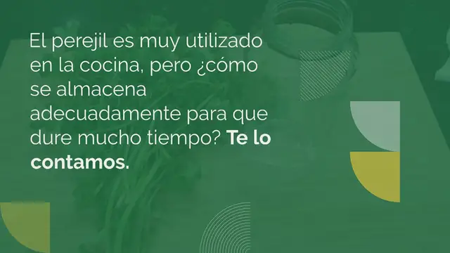 Video thumbnail for Conserva el perejil y te dura fresco durante un año: el método de los chefs