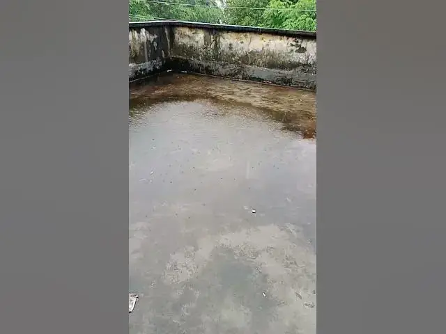 'Video thumbnail for Nature's Calm in Gentle Rain #RainAesthetic #NatureLove #PeacefulVibes #GentleRain #MonsoonBeauty'