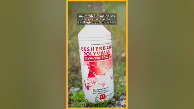 Video thumbnail for 🌵​❌​ Astuces pour supprimer les RONCES dans son jardin 💯