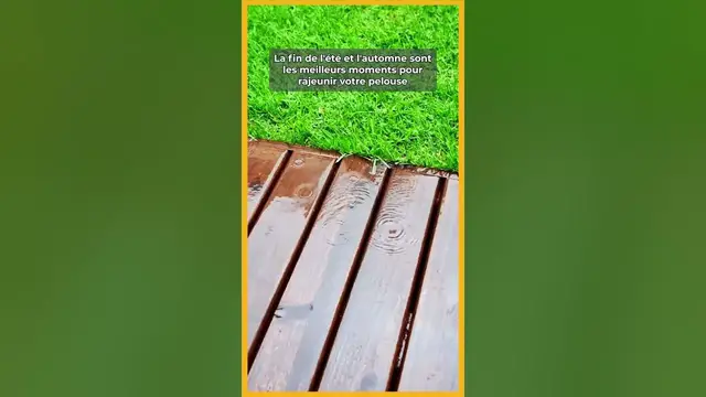 Video thumbnail for ☀️​🏘️ Astuces pour avoir un beau GAZON en été ​✔️​