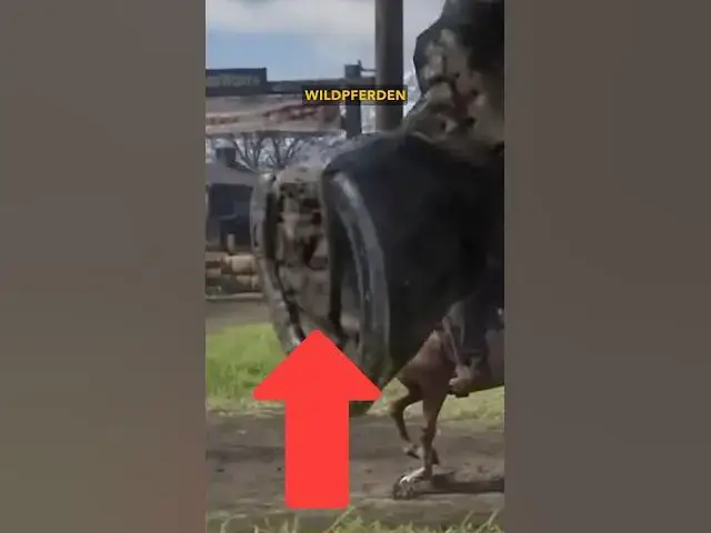 Video thumbnail for 3 KRASSE DETAILS BEI TITELN VON ROCKSTAR GAMES! 😱