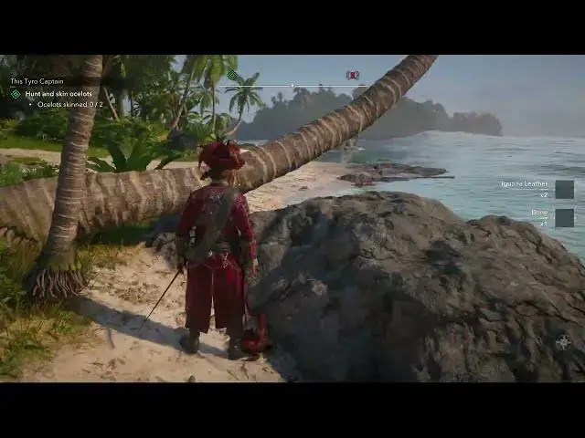 Video thumbnail for Assassin's Creed Black Flag Resynced - This Tyro Captain: Investigate Camp 4/4 | Skin a Iguana
