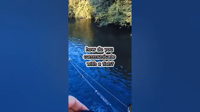 Video thumbnail for Fishing Joke 16 #jokes #fishingjokes #humor