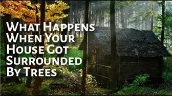 Video thumbnail for Forest houses: What Happens When Your House Got Surrounded By Trees
