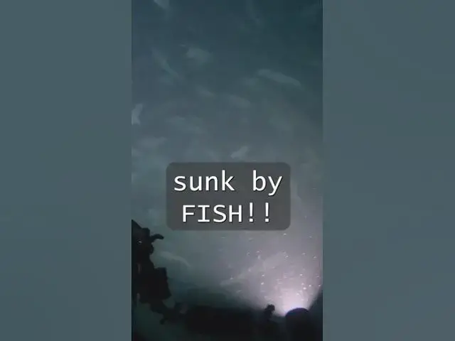 'Video thumbnail for The Fish That Sank a SHIP!'