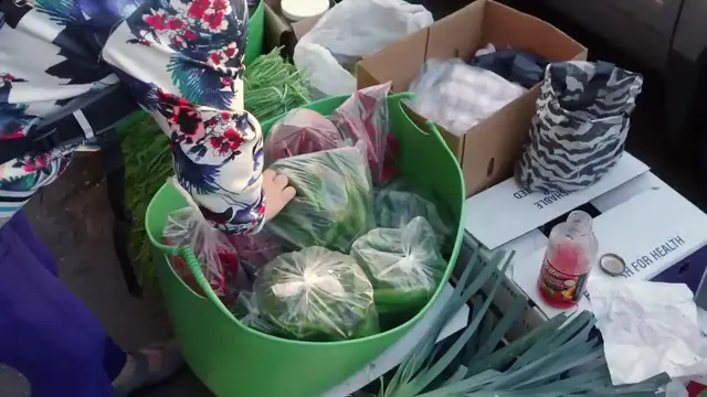'Video thumbnail for Spicy stuffed green chili pepper kimchi (Gochu-sobagi; 고추소박이) (720p 30fps)'