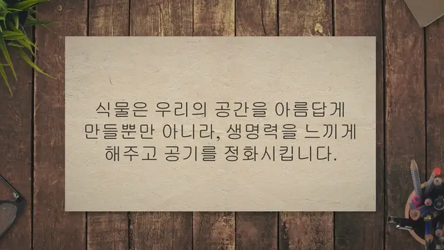 'Video thumbnail for 21개의 실내식물 키우기: 플랜테리어 완성'