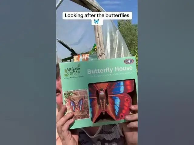 'Video thumbnail for 🦋 How to Attract & Care for Butterflies in Your Garden | Simple Tips for a Wildlife Haven 🌸'