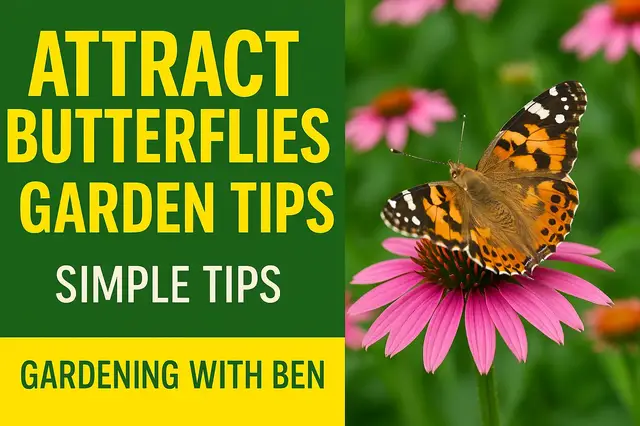 'Video thumbnail for 🦋 How to Attract & Care for Butterflies in Your Garden | Simple Tips for a Wildlife Haven 🌸'