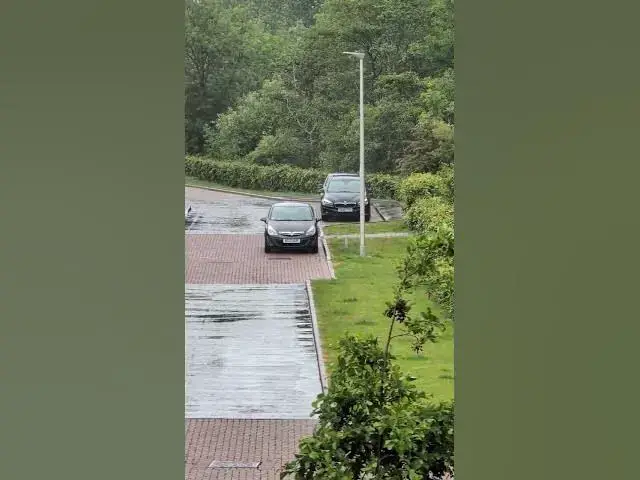 Video thumbnail for through my window  #t#edenburglife lifechangingthoughts #nature #lifesolutions  #rain #edenburg