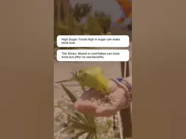 'Video thumbnail for What's the BIGGEST Mistake You're Making When Feeding Wild Birds?'