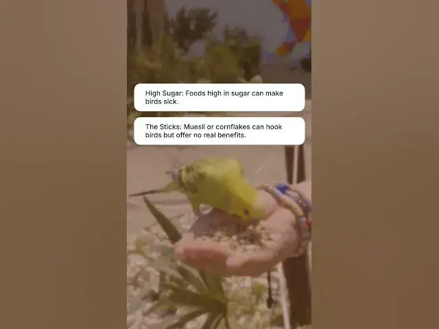 'Video thumbnail for What's the BIGGEST Mistake You're Making When Feeding Wild Birds?'