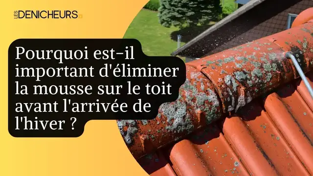 Video thumbnail for 🏠​🧹 Pourquoi est-il important d'éliminer la mousse sur le toit avant l'arrivée de l'hiver ? ​✅