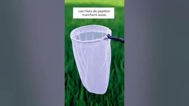 Video thumbnail for 🐦9 astuces pour faire fuir les oiseaux non désirables dans votre potager  🦅 🦉 🦜