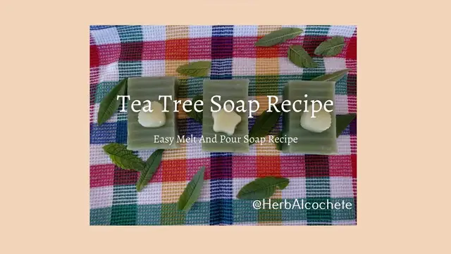Video thumbnail for Tea Tree Soap Recipe