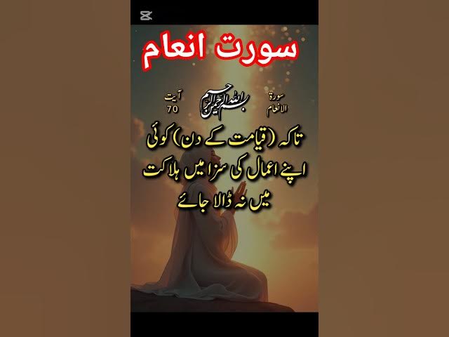 Video thumbnail for سورت انعام میں رب کا فرمان #islamicmotivation #facts #hardworkworks #islamicreminder #islamicvideo