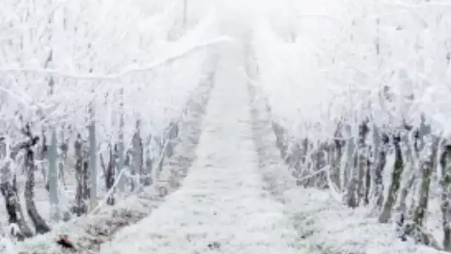 'Video thumbnail for The Mysterious Deadly Frost Of 1709 That Killed Thousands'