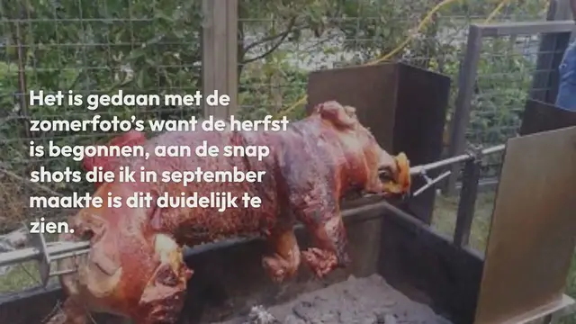 Video thumbnail for Snap Shots September