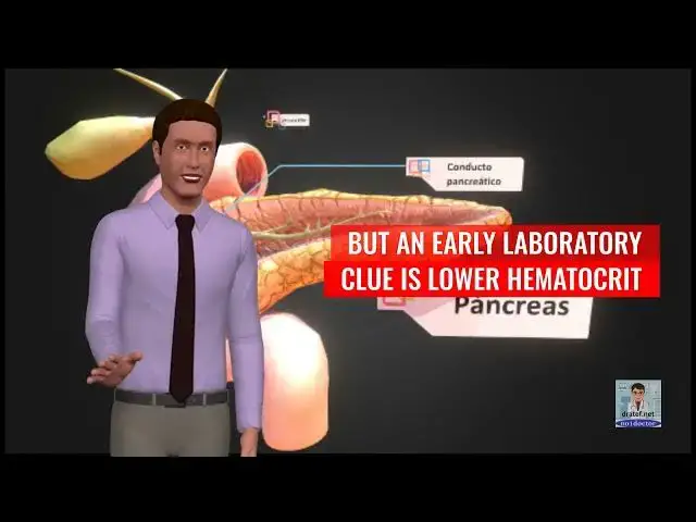 Video thumbnail for Pancreas