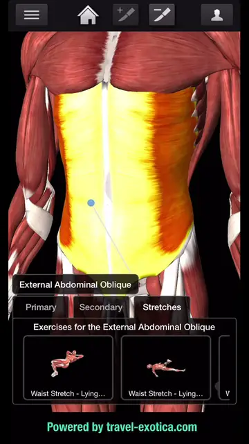 'Video thumbnail for Bodybuilding - Abdomen Workouts'