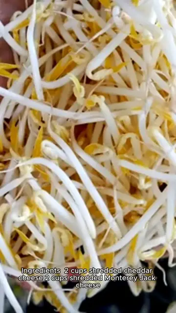 Video thumbnail for cheese enchiladas recipe