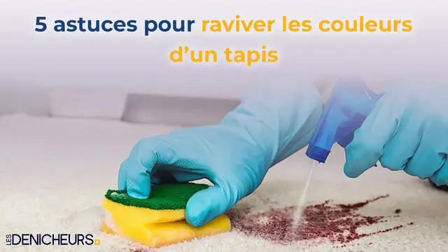 Video thumbnail for 💥 5 Astuces pour raviver les couleurs d’un tapis 🛋 🏡