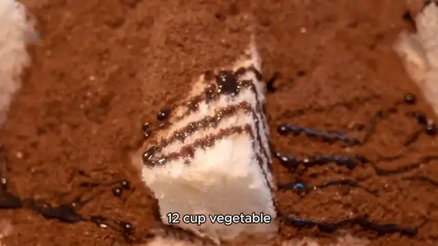 Video thumbnail for Marshmallow Chocolate Poke Cake recipe