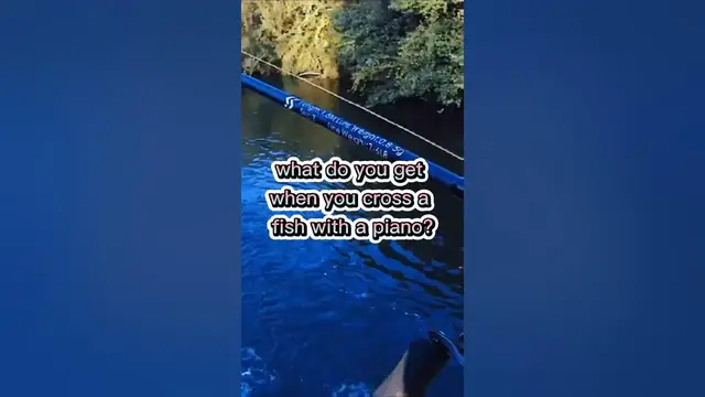 Video thumbnail for Fishing Joke 12 #jokes #fishingjokes #humor