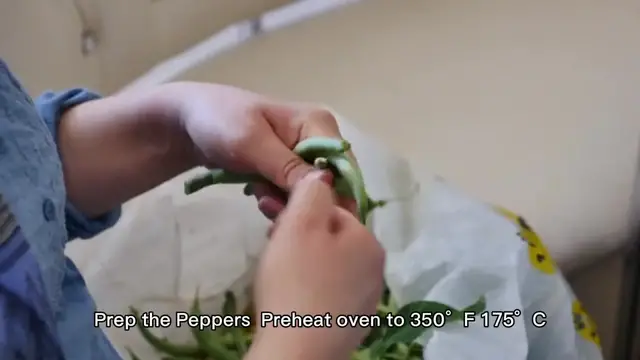 Video thumbnail for stuffed green pepper recipe