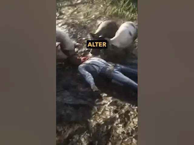 Video thumbnail for 3 GRÜNDE DAFÜR WARUM SPIELE VON ROCKSTAR HEFTIG DETAILLIERT SIND 😵