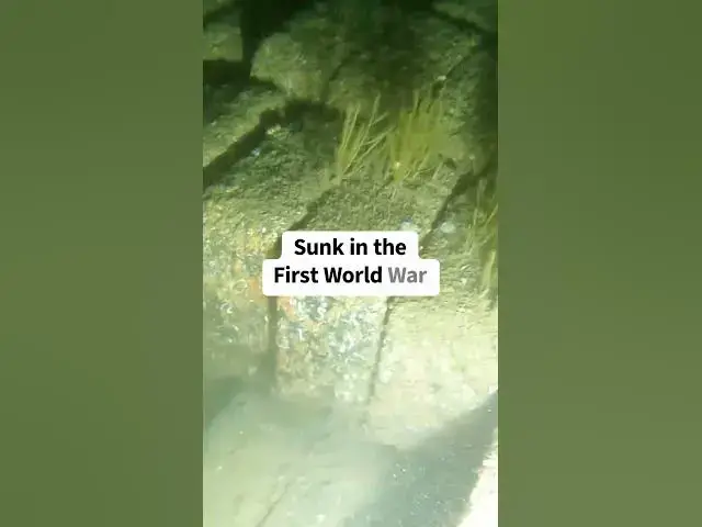 Video thumbnail for 100-Year-Old Fuel Blocks Still Perfectly Preserved #shipwreck #history