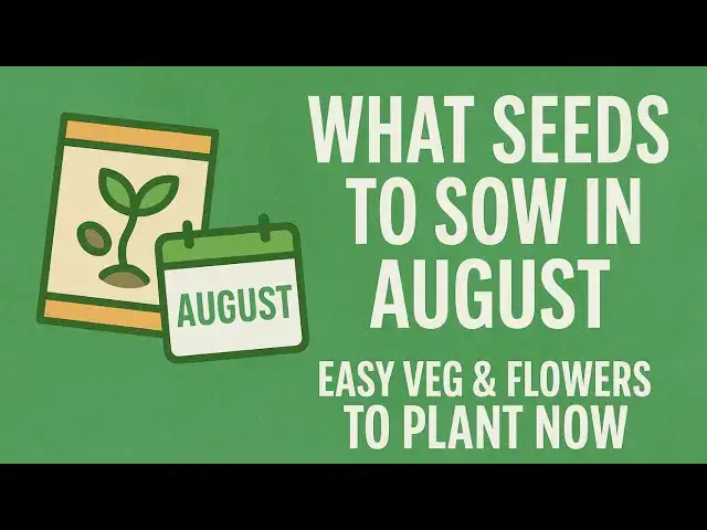 'Video thumbnail for 🌱📅 What Seeds to Sow in August | Easy Veg & Flowers to Plant Now'