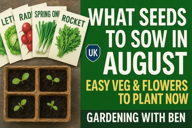 'Video thumbnail for 🌱📅 What Seeds to Sow in August | Easy Veg & Flowers to Plant Now'