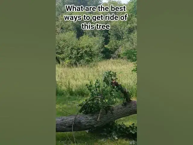 Video thumbnail for July 28, 2025