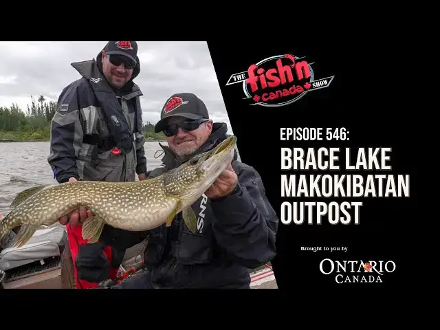 'Video thumbnail for CATCHING CANNIBAL PIKE! | Episode 546: Brace Lake Makokibatan Outpost'