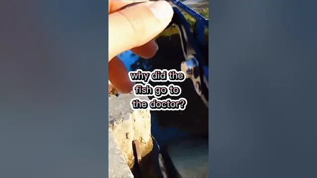 Video thumbnail for Fishing Joke 7 #jokes #fishingjokes #humor