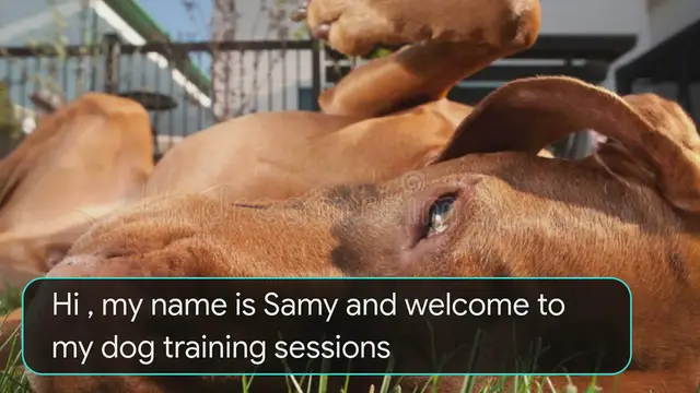 'Video thumbnail for Dog training - teach your dog to Roll Over'