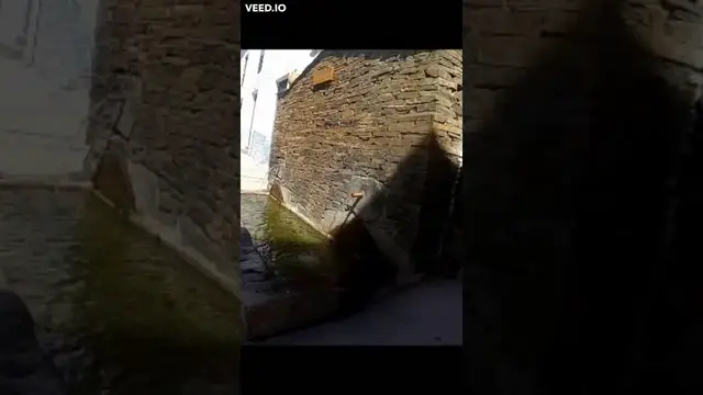 'Video thumbnail for Springtime in the streets - Mairena Spain #shorts'