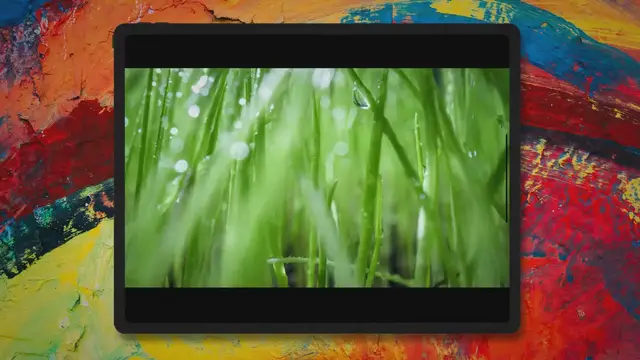 Video thumbnail for Manage Tall Grass: How Tall Of Grass Can a Lawn Mower Cut