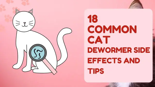 'Video thumbnail for 18 Common Cat Dewormer Side Effects And Tips'