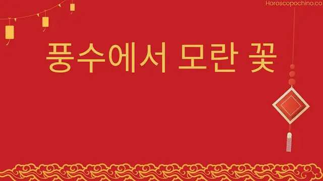 Video thumbnail for 풍수에서 모란 꽃