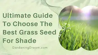 Video thumbnail for Ultimate Guide To Choose The Best Grass Seed For Shade