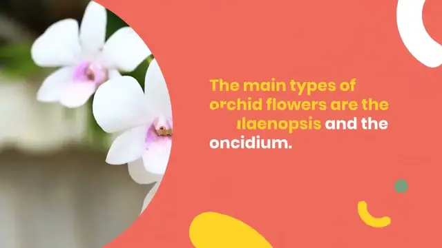 Video thumbnail for Are Orchids Poisonous To Dogs? What Plants Safe For Dogs?