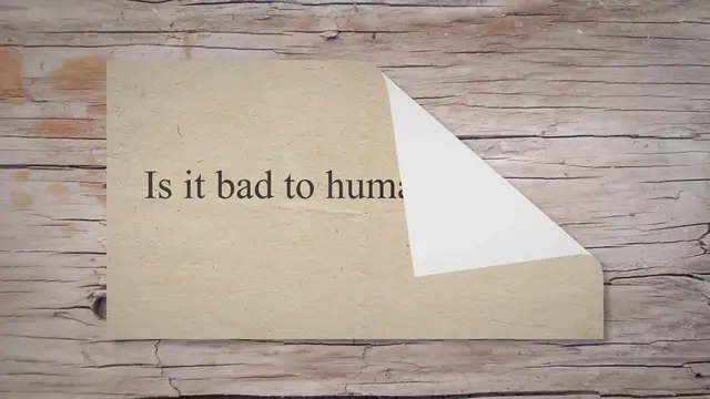 'Video thumbnail for Is it bad to humanize your pet ? – True Home Joy'