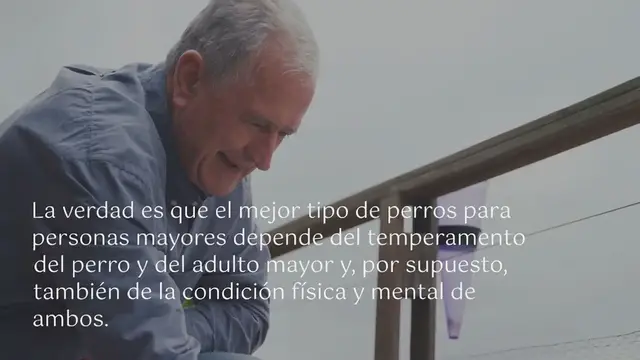 Video thumbnail for Cuales son las mejores razas de perros para personas mayores: