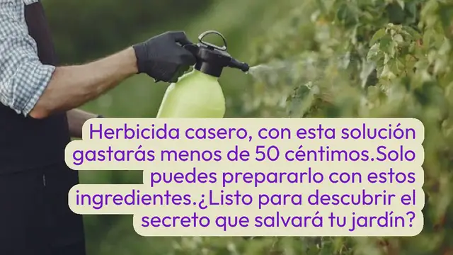 Video thumbnail for Herbicida casero por menos de 50 céntimos, lo preparas con 3 ingredientes